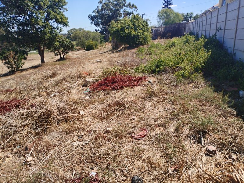 A view of a vacant residential plot featuring dry, overgrown vegetation and a perimeter boundary wall.