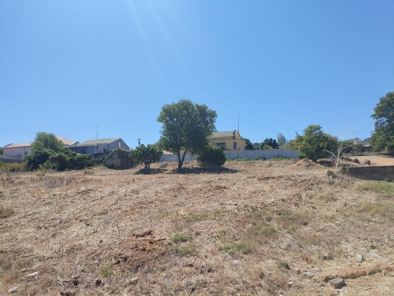A view of a vacant residential plot featuring dry grass, mature trees, and surrounding neighborhood properties.