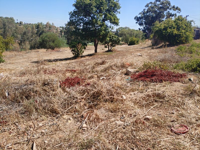 A view of a vacant residential plot featuring dry grass, scattered debris, and mature trees, offering potential for future development.