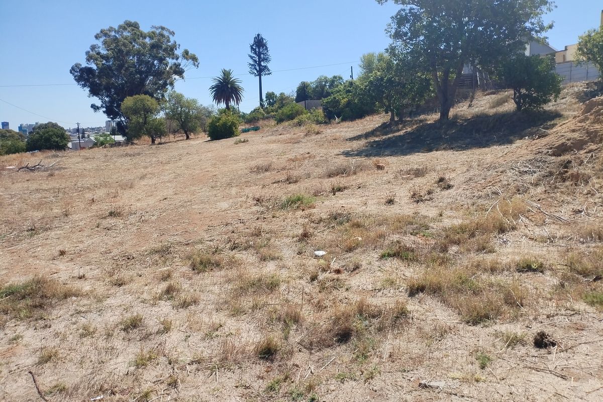A view of the vacant residential land featuring natural vegetation, mature trees, and a gentle slope.