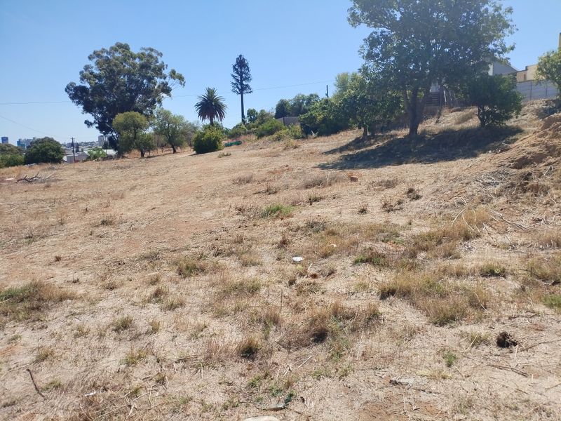 A view of the vacant residential land featuring natural vegetation, mature trees, and a gentle slope.