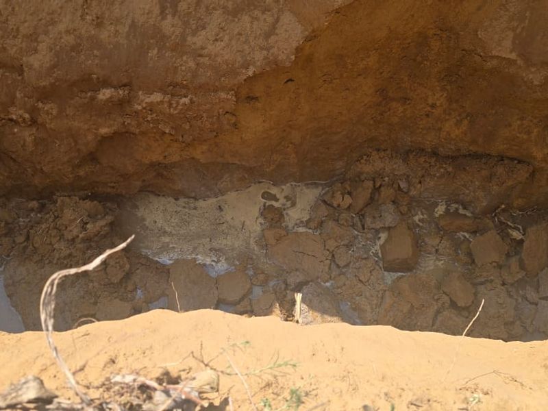 Uitstekende saailande te koop - Photo 10