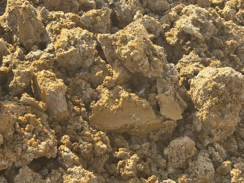 Uitstekende saailande te koop - Photo 9