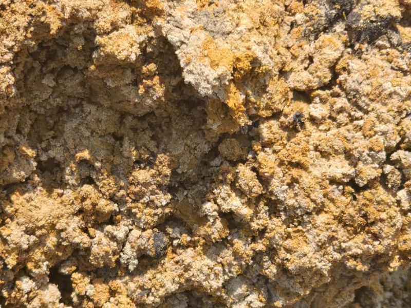 Uitstekende saailande te koop - Photo 7