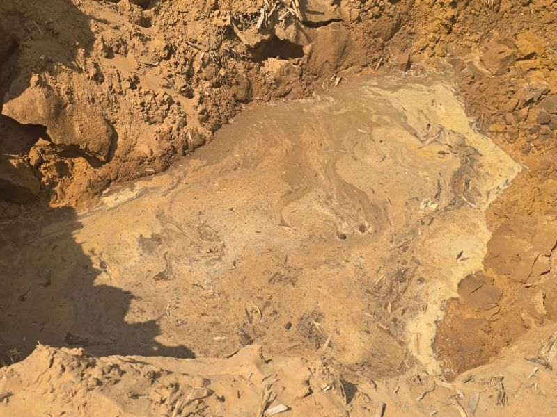 Uitstekende saailande te koop - Photo 2