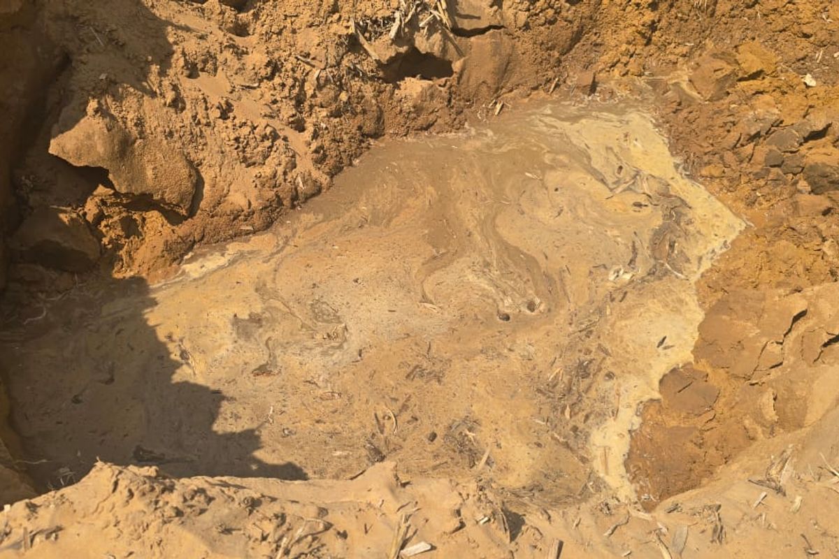 Uitstekende saailande te koop - Photo 2