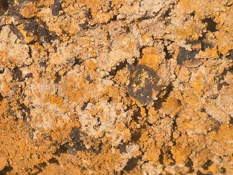 Uitstekende saailande te koop - Photo 3