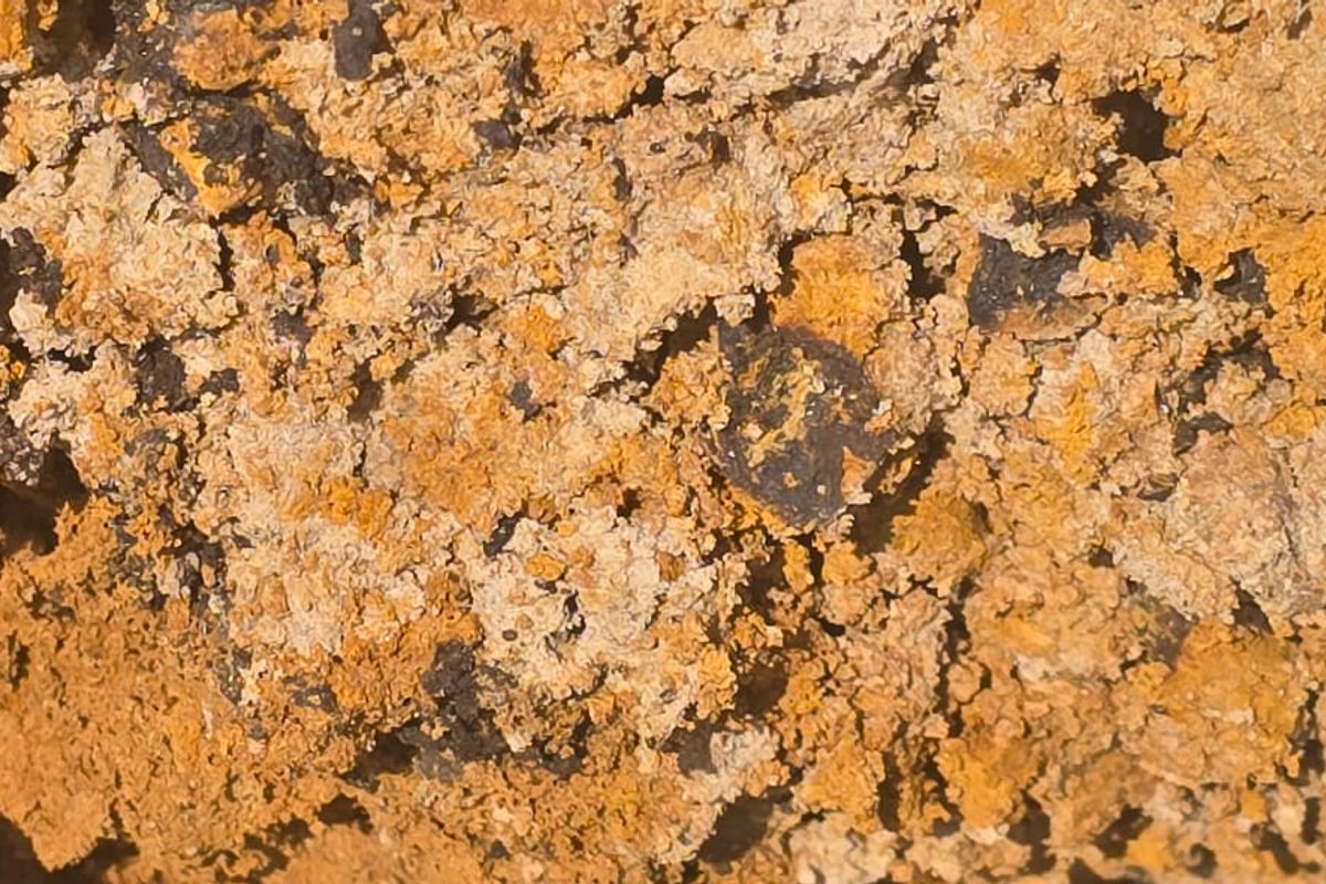 Uitstekende saailande te koop - Photo 3