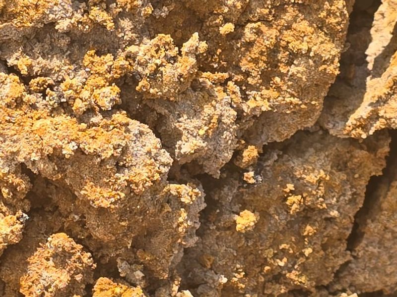 Uitstekende saailande te koop - Photo 4