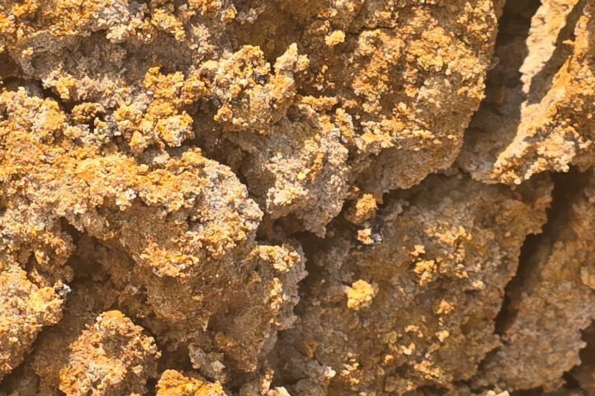 Uitstekende saailande te koop - Photo 4