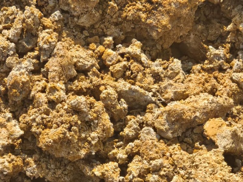 Uitstekende saailande te koop - Photo 5