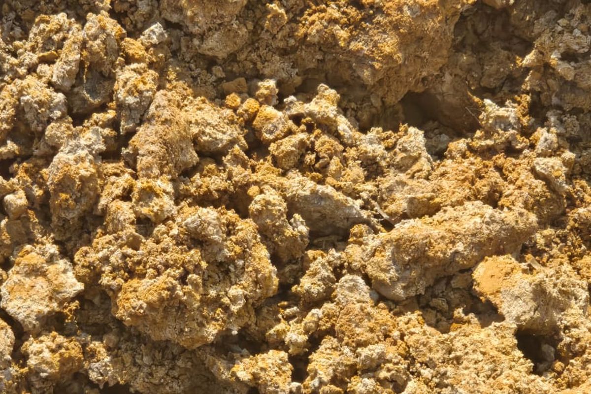 Uitstekende saailande te koop - Photo 5