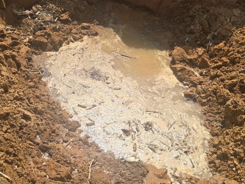 Uitstekende saailande te koop - Photo 6