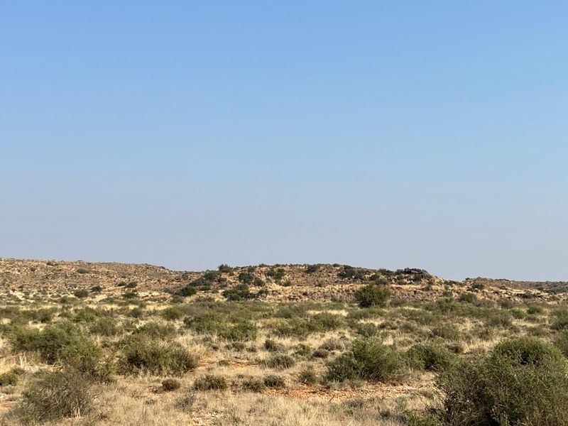 Bossieveld op sy beste!! - Photo 8