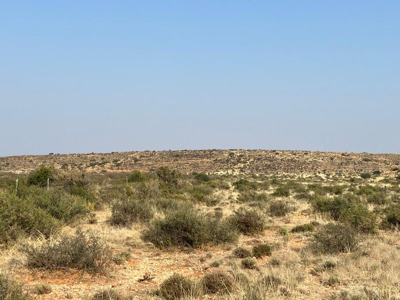 Bossieveld op sy beste!! - Photo 6