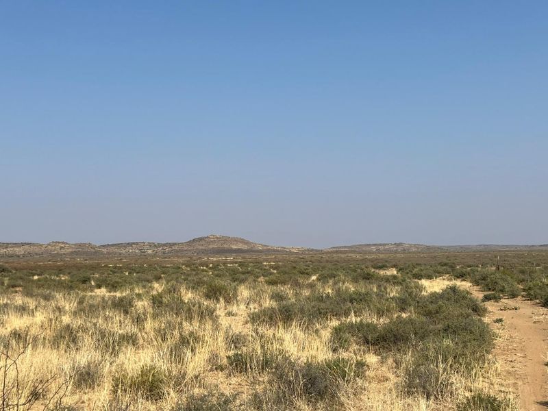 Bossieveld op sy beste!! - Photo 10