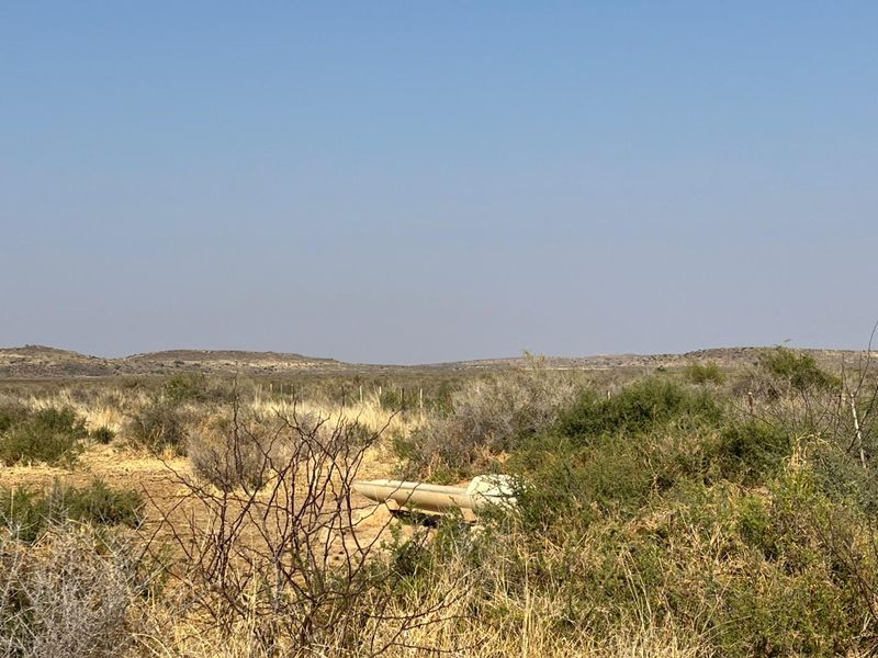 Bossieveld op sy beste!! - Photo 9