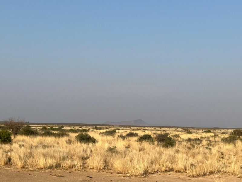 Bossieveld op sy beste!! - Photo 2