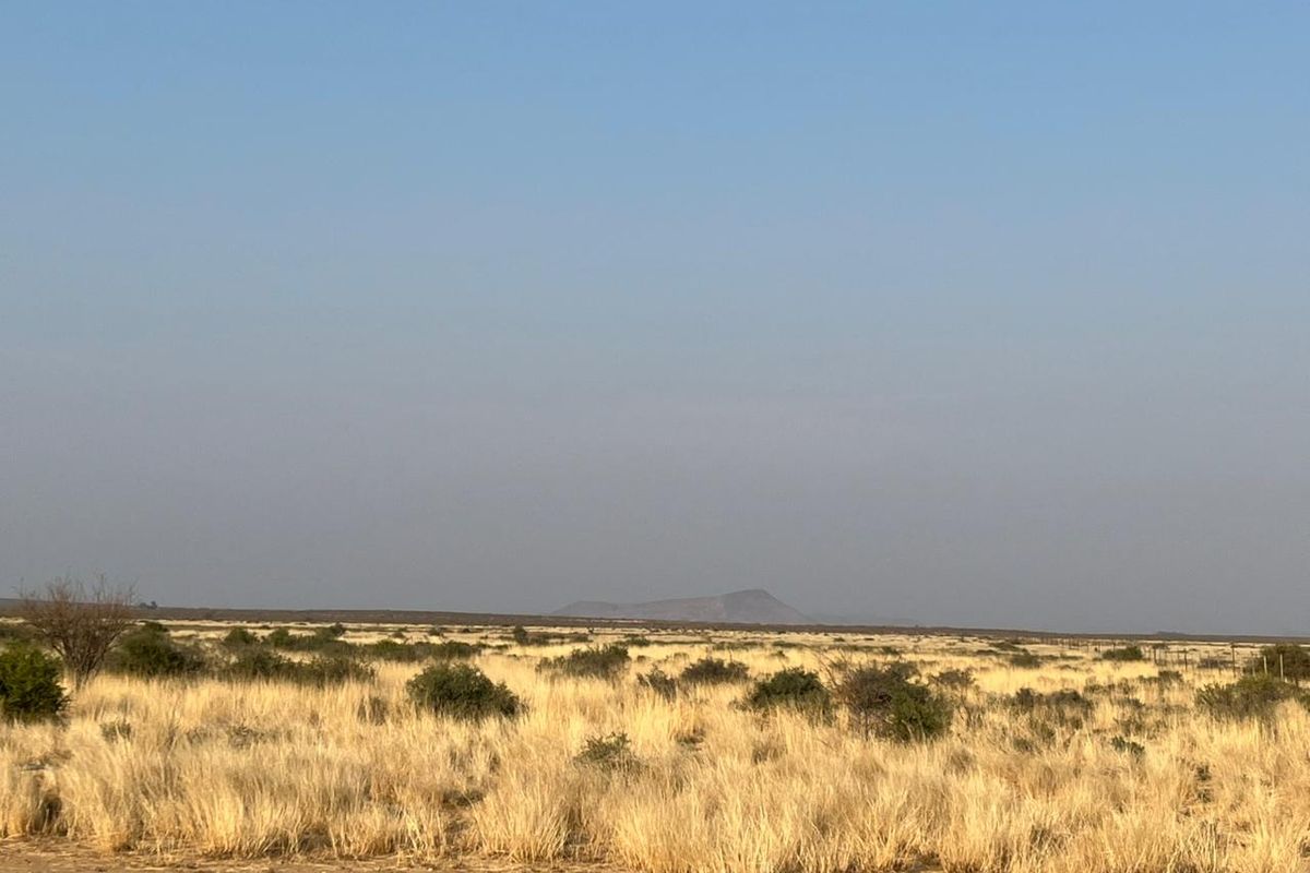 Bossieveld op sy beste!! - Photo 2