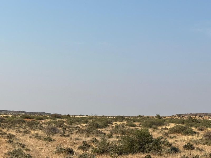 Bossieveld op sy beste!! - Photo 5