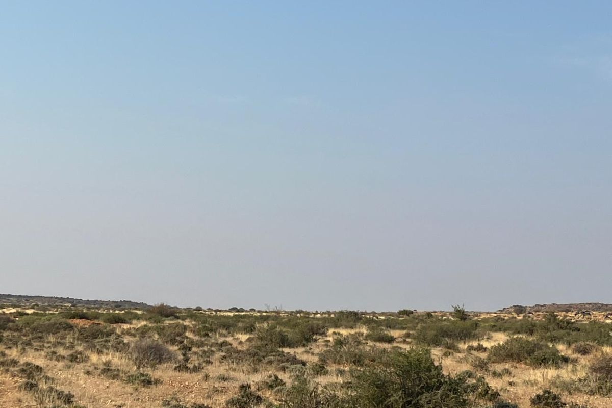 Bossieveld op sy beste!! - Photo 5