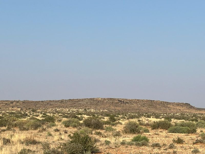 Bossieveld op sy beste!! - Photo 4