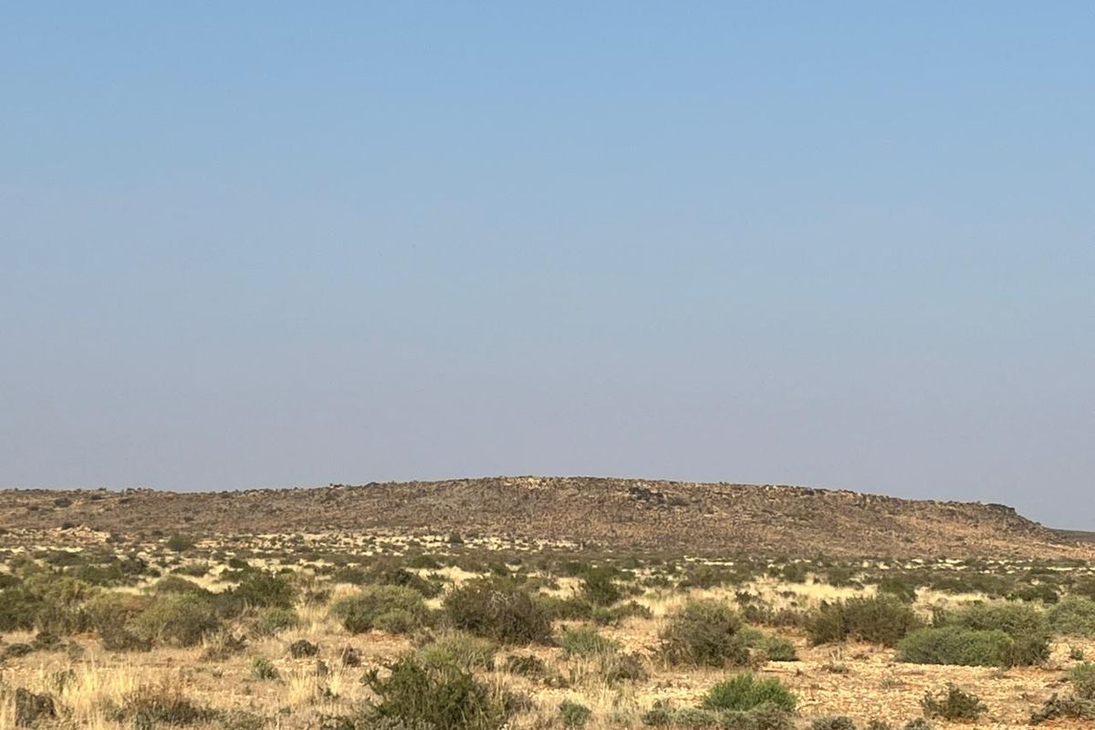 Bossieveld op sy beste!! - Photo 4