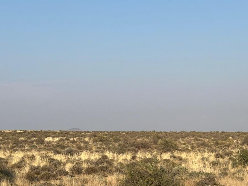 Bossieveld op sy beste!! - Photo 3