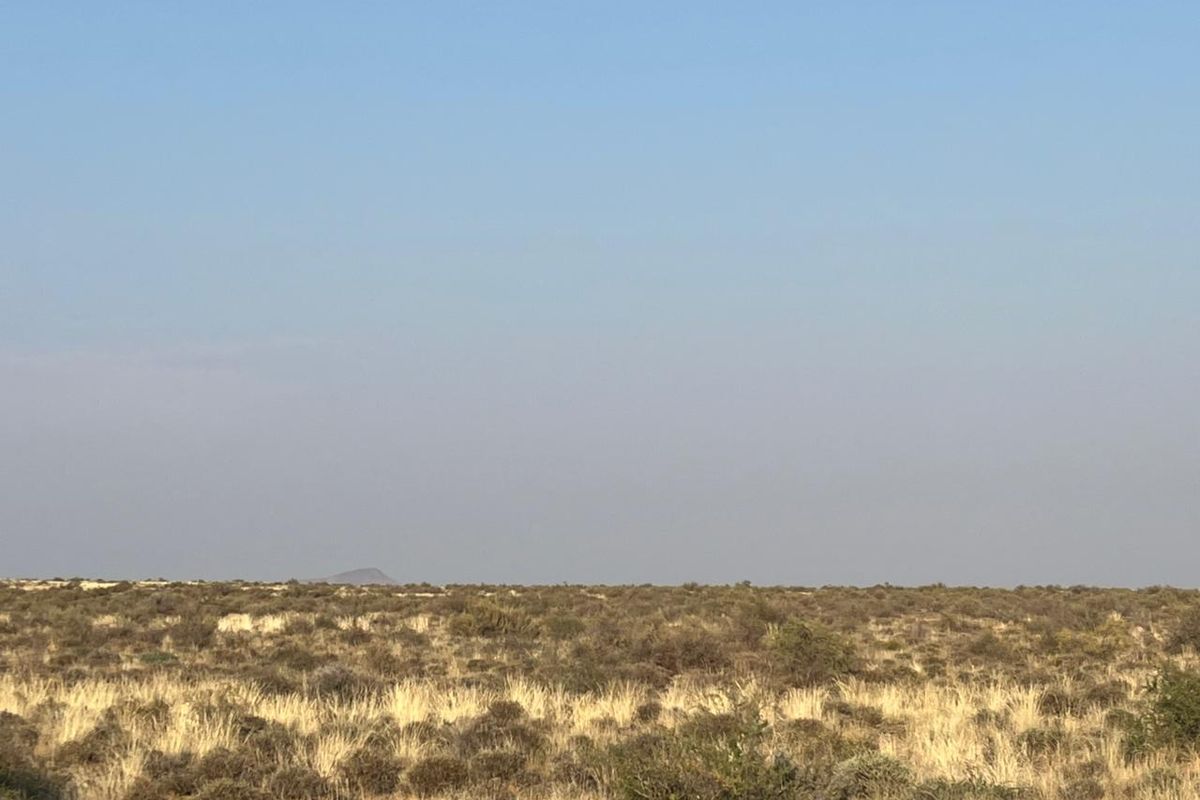 Bossieveld op sy beste!! - Photo 3