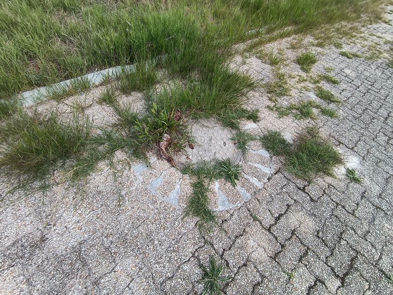 Development Opportunity – 4,461m2 Vacant Plot in Kleinmond, Overberg - Photo 9