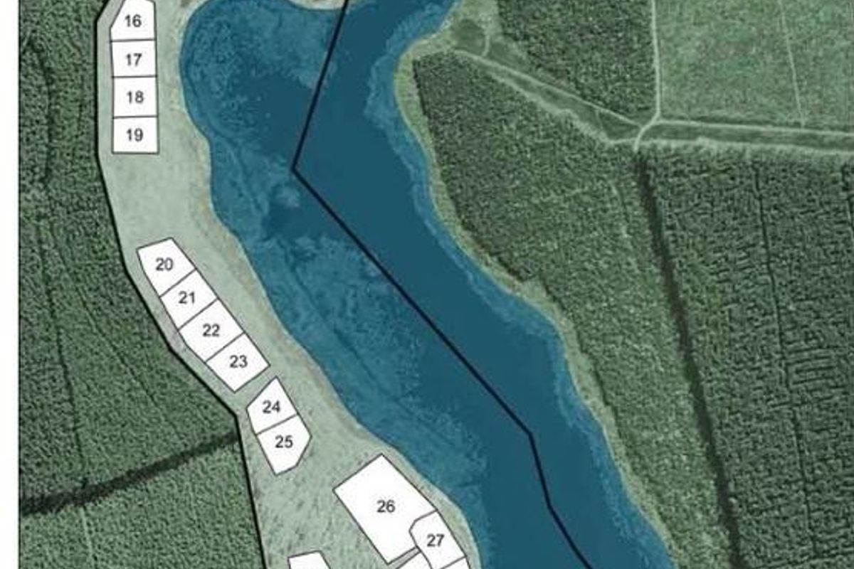 Build Your Dream Home in Tranquil Bird Valley Estate - Photo 4