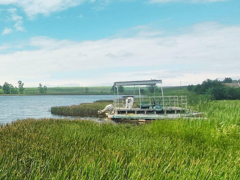 Build Your Dream Home in Tranquil Bird Valley Estate - Photo 7