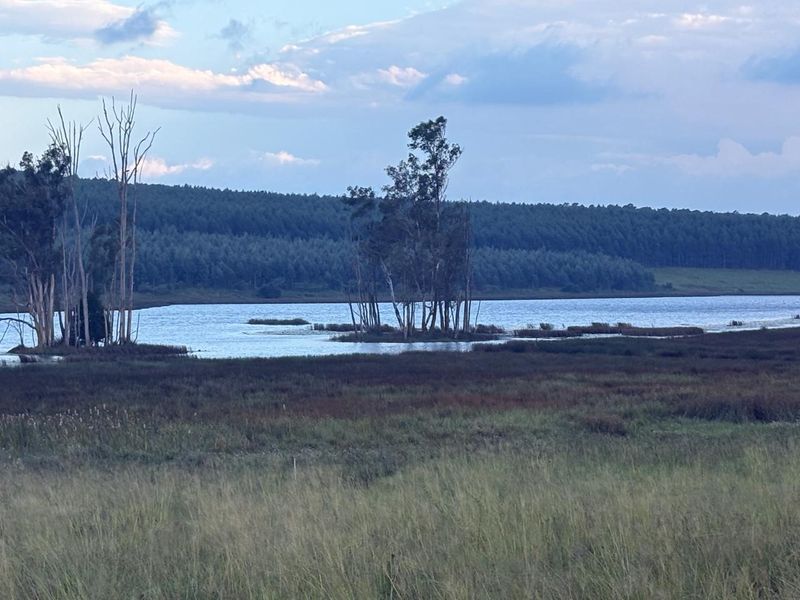 Build Your Dream Home in Tranquil Bird Valley Estate - Photo 3