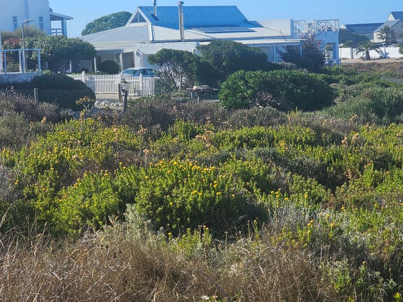 A view of a vacant residential plot featuring native fynbos vegetation with established residential properties visible in the background.