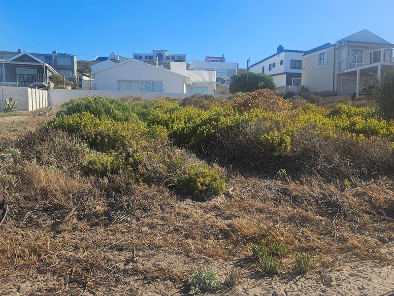 A view of a vacant residential plot featuring natural coastal vegetation and a boundary wall, situated in a developed residential neighborhood.
