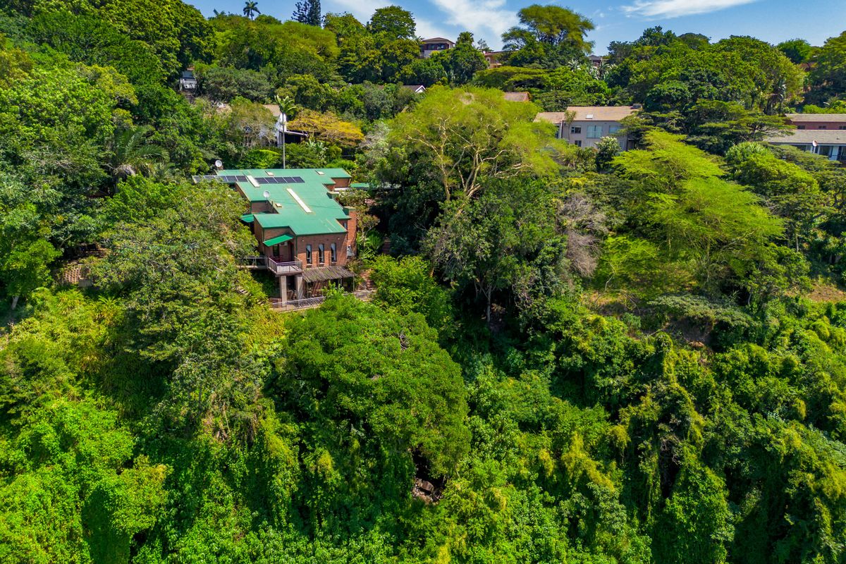An aerial view of a brick house with a green metal roof and solar panels, nestled within a lush, densely forested hillside setting.