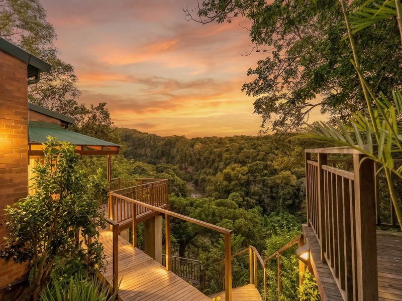 Luxury Modern Auction - A Nature Lover's Retreat! - Photo 5