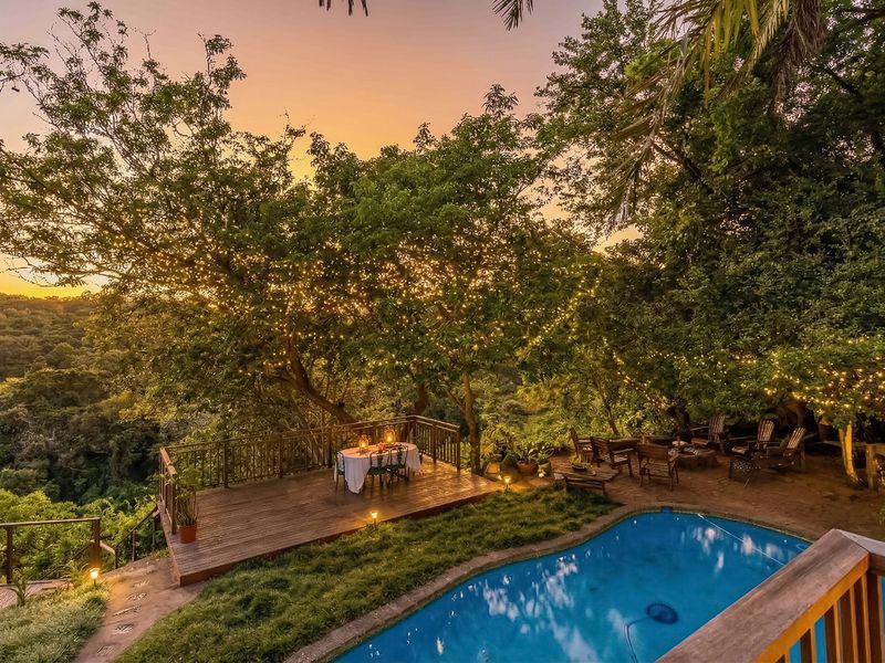 Luxury Modern Auction - A Nature Lover's Retreat! - Photo 6