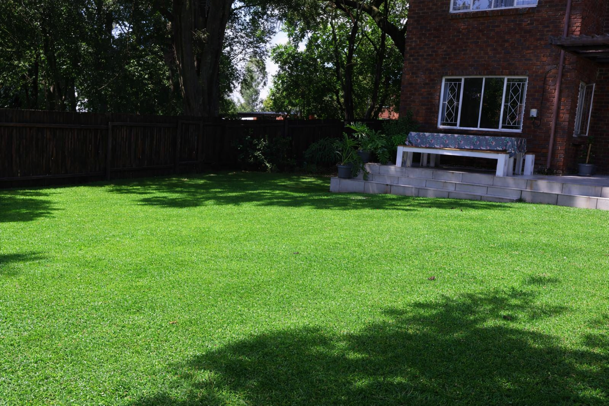 Neat As A Pin! Modern Comfort, Safe Living - Photo 2