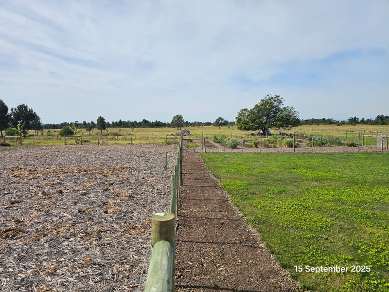 101 HA Off-Grid Lifestyle & Livestock Farm - Riversdale Rural - Photo 10