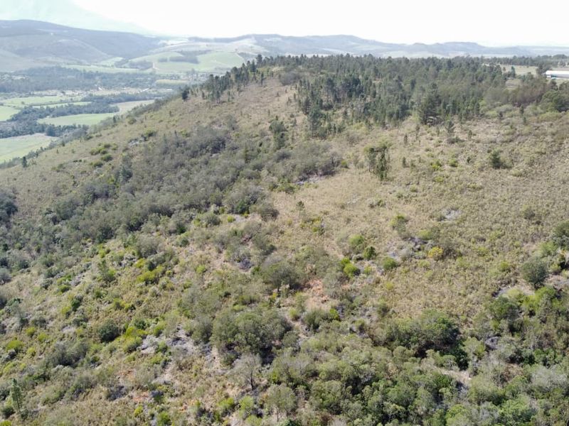 101 HA Off-Grid Lifestyle & Livestock Farm - Riversdale Rural - Photo 9