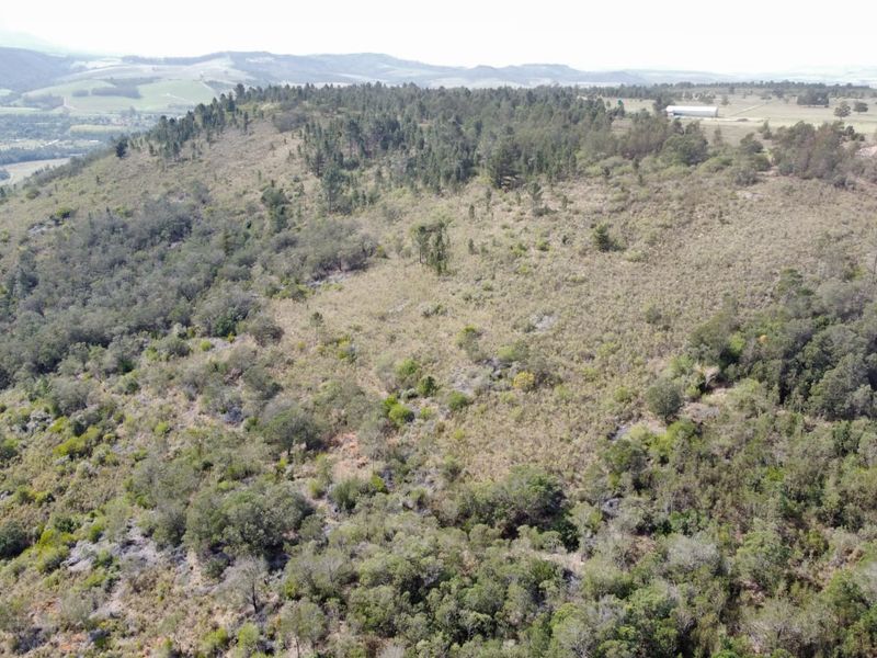 101 HA Farm for sale in Riversdale Rural - Photo 10