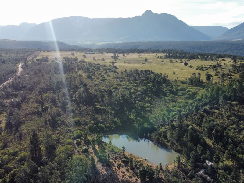 101 HA Off-Grid Lifestyle & Livestock Farm - Riversdale Rural - Photo 3