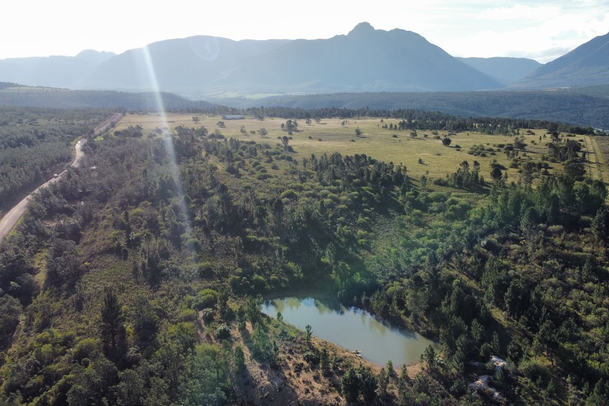 101 HA Off-Grid Lifestyle & Livestock Farm - Riversdale Rural - Photo 3