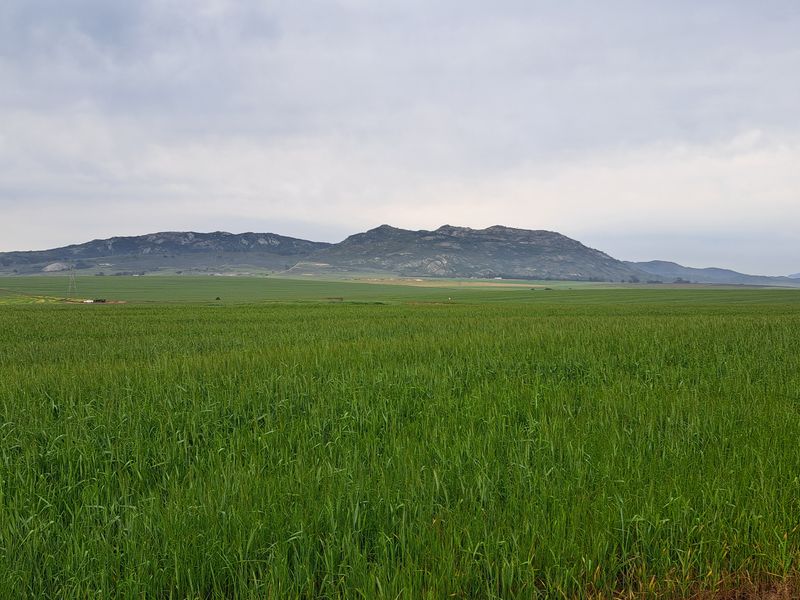 Expansive view of the farm's open green fields with scenic mountain ranges in the background.