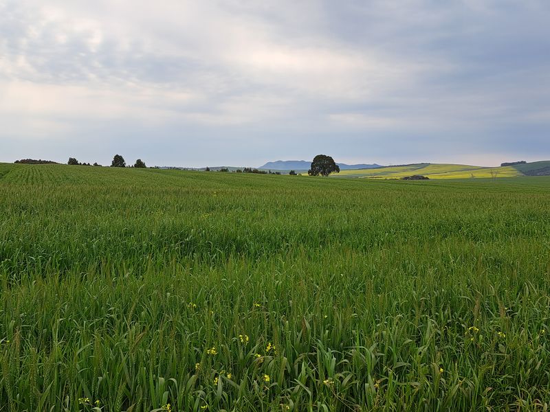 Expansive view of lush green agricultural farmland under a cloudy sky, showcasing the open landscape and natural terrain of the property.