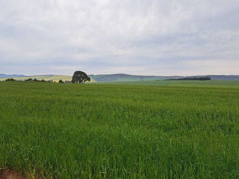 Expansive view of the lush green agricultural fields and rolling hills characteristic of the surrounding farm landscape.