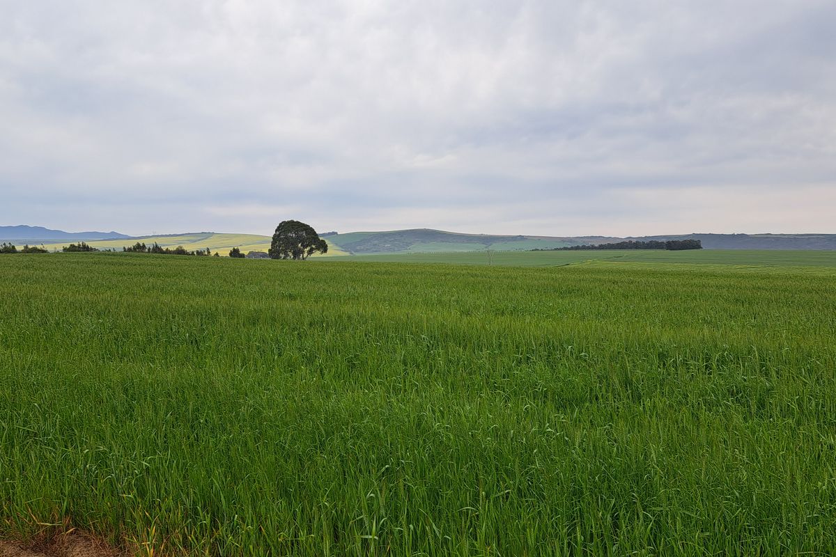 Expansive view of the lush green agricultural fields and rolling hills characteristic of the surrounding farm landscape.