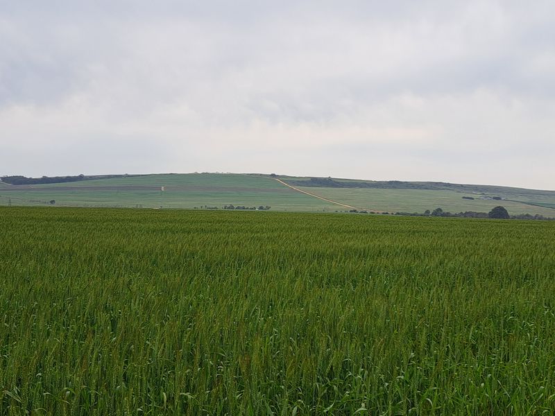 Expansive view of the rolling green agricultural fields and surrounding landscape, showcasing the property's rural setting and open space.