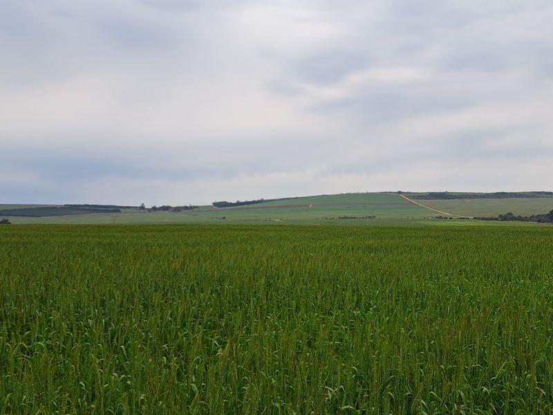 Expansive view of the farm's agricultural land, featuring lush green fields stretching towards the horizon under a cloudy sky.